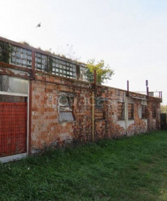immagine annuncio 10 di 11