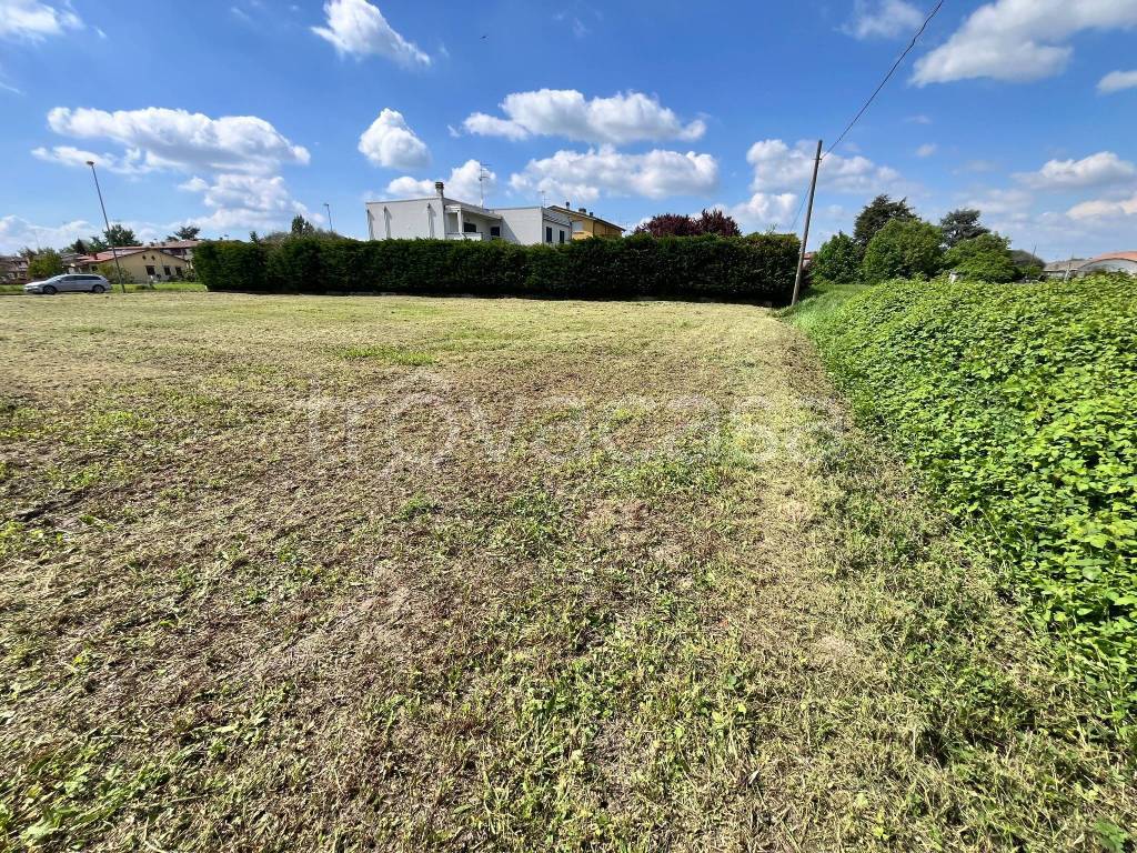 immagine annuncio 2 di 6