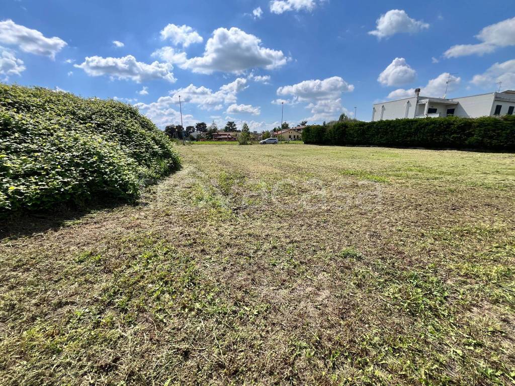 immagine annuncio 3 di 6