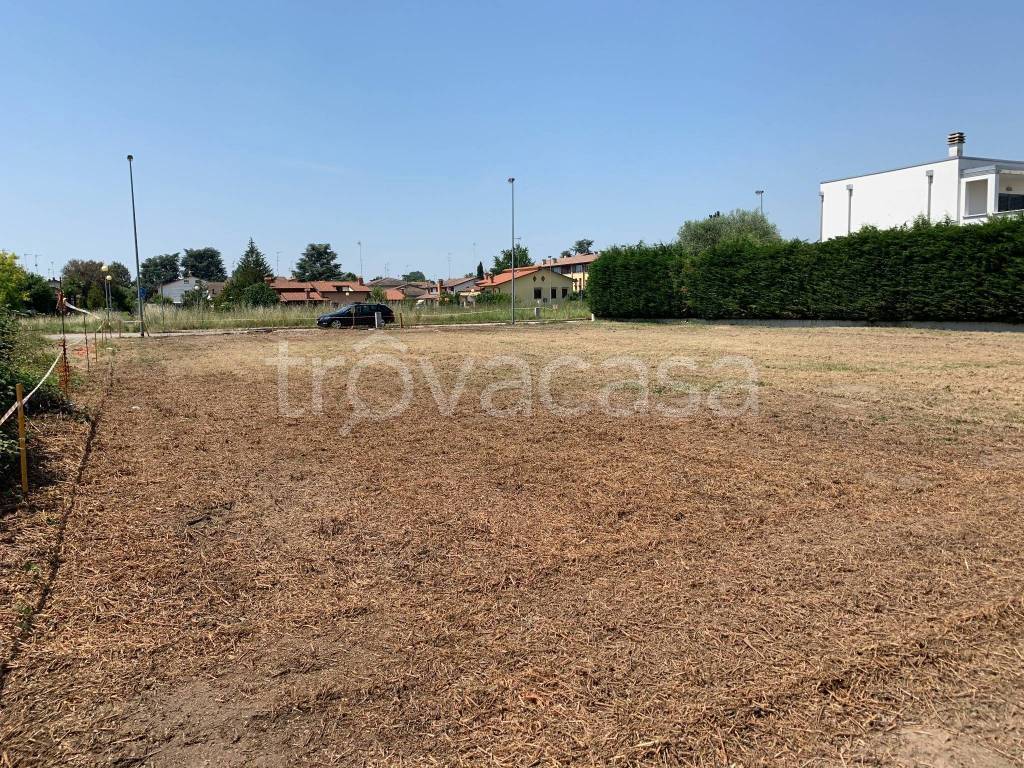 immagine annuncio 5 di 6