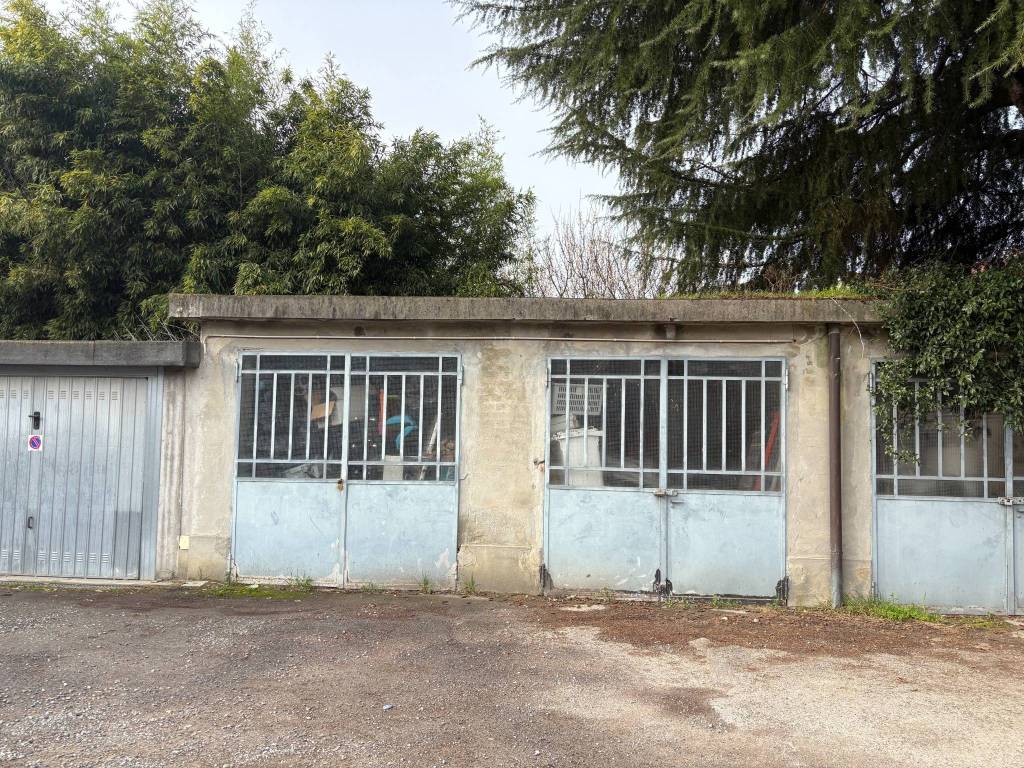 immagine annuncio 2 di 9