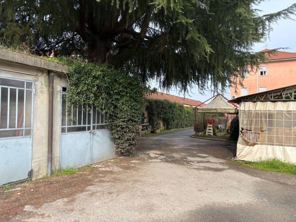 immagine annuncio 3 di 9