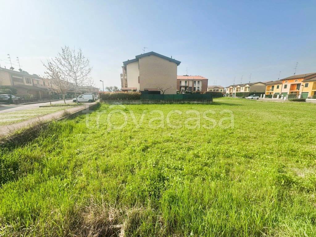 immagine annuncio 3 di 6