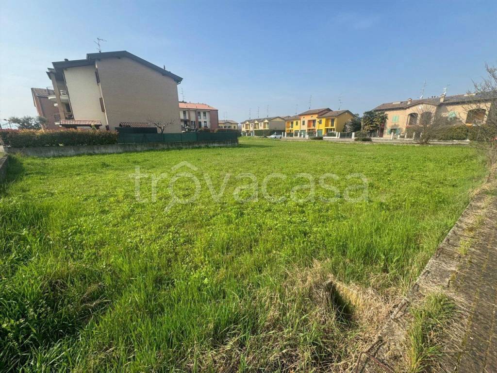 immagine annuncio 4 di 6