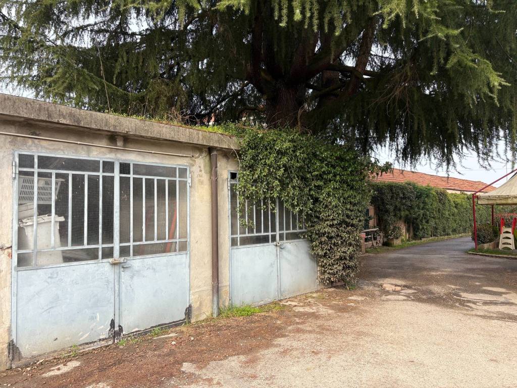 immagine annuncio 4 di 9