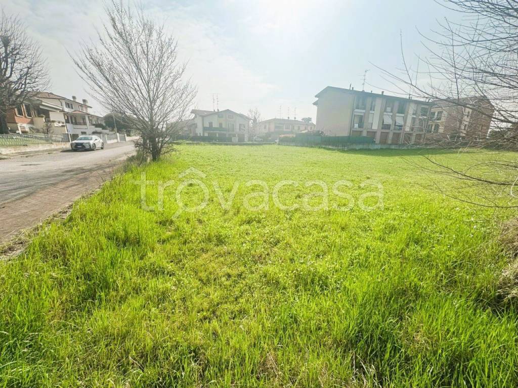 immagine annuncio 5 di 6