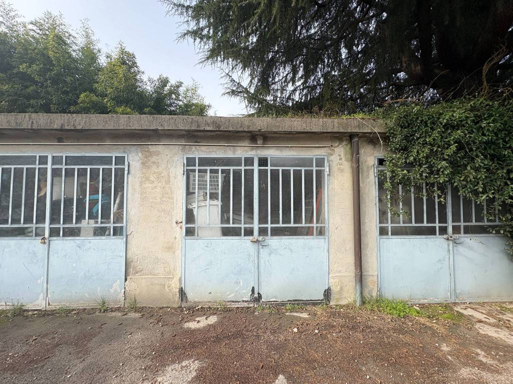 immagine annuncio 6 di 9