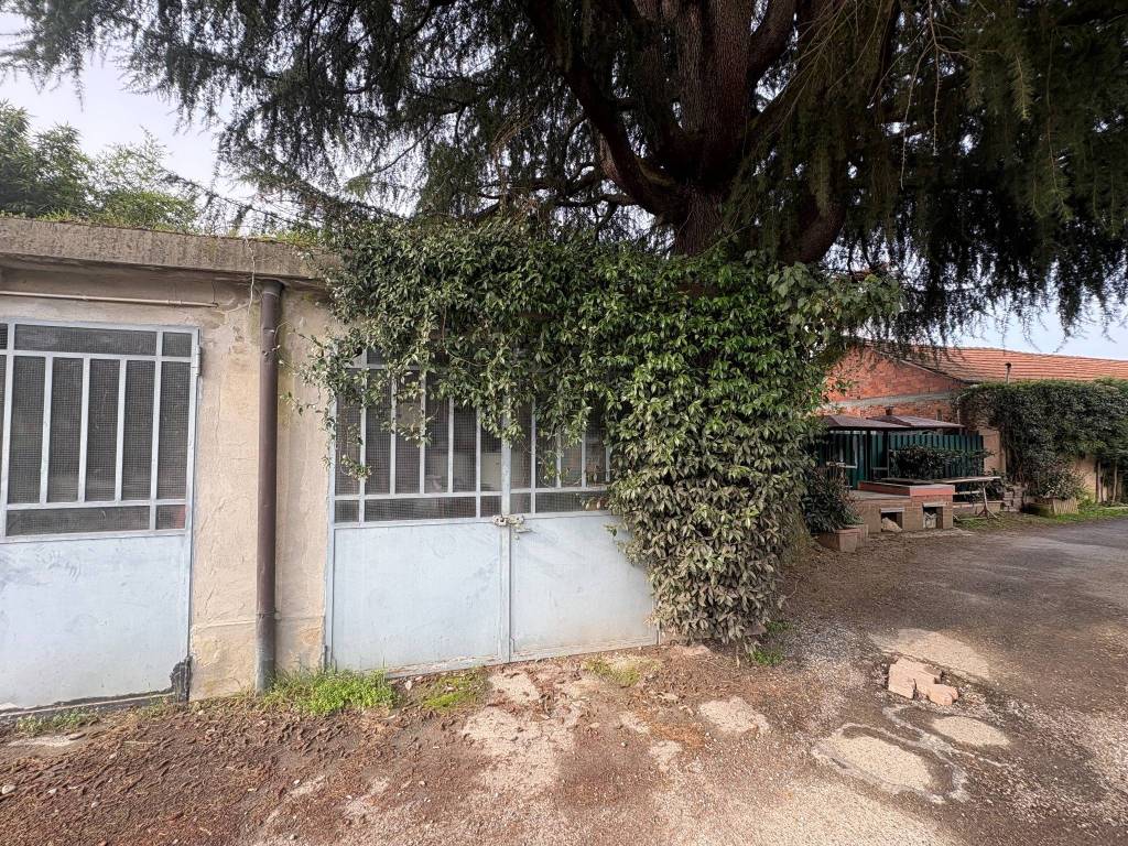 immagine annuncio 7 di 9