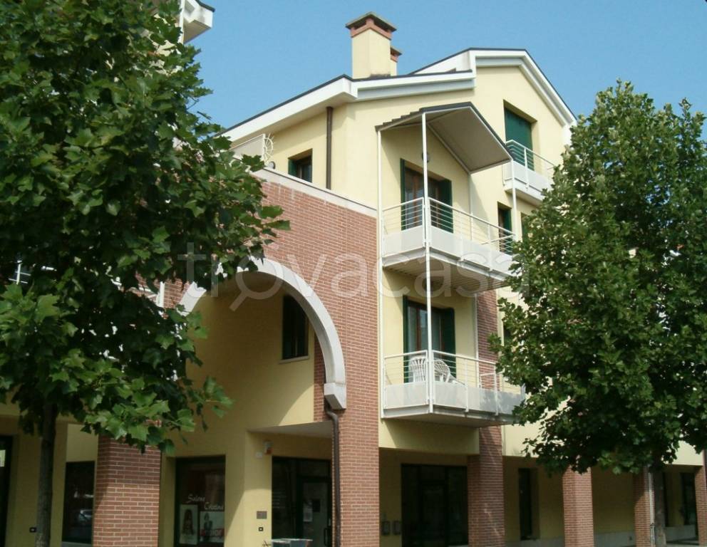 immagine annuncio 9 di 12