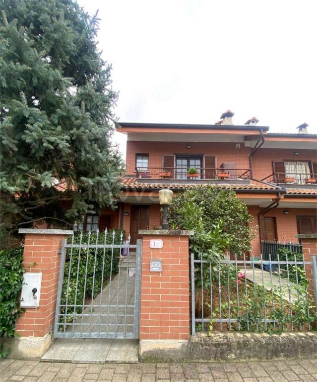 immagine annuncio 1 di 15