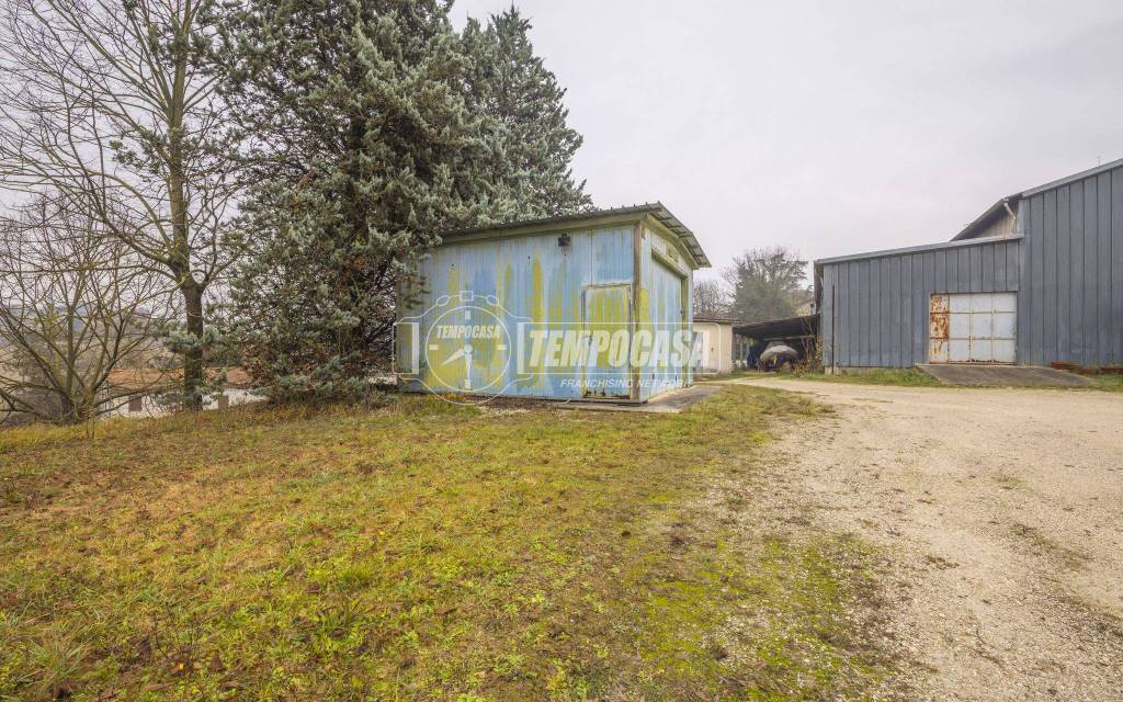 immagine annuncio 6 di 15