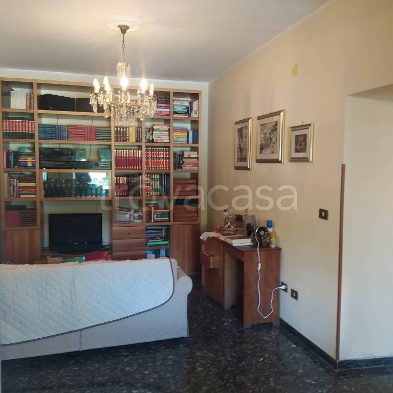 immagine annuncio 8 di 14