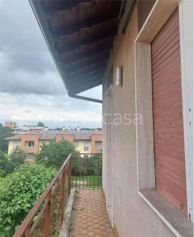 immagine annuncio 3 di 11