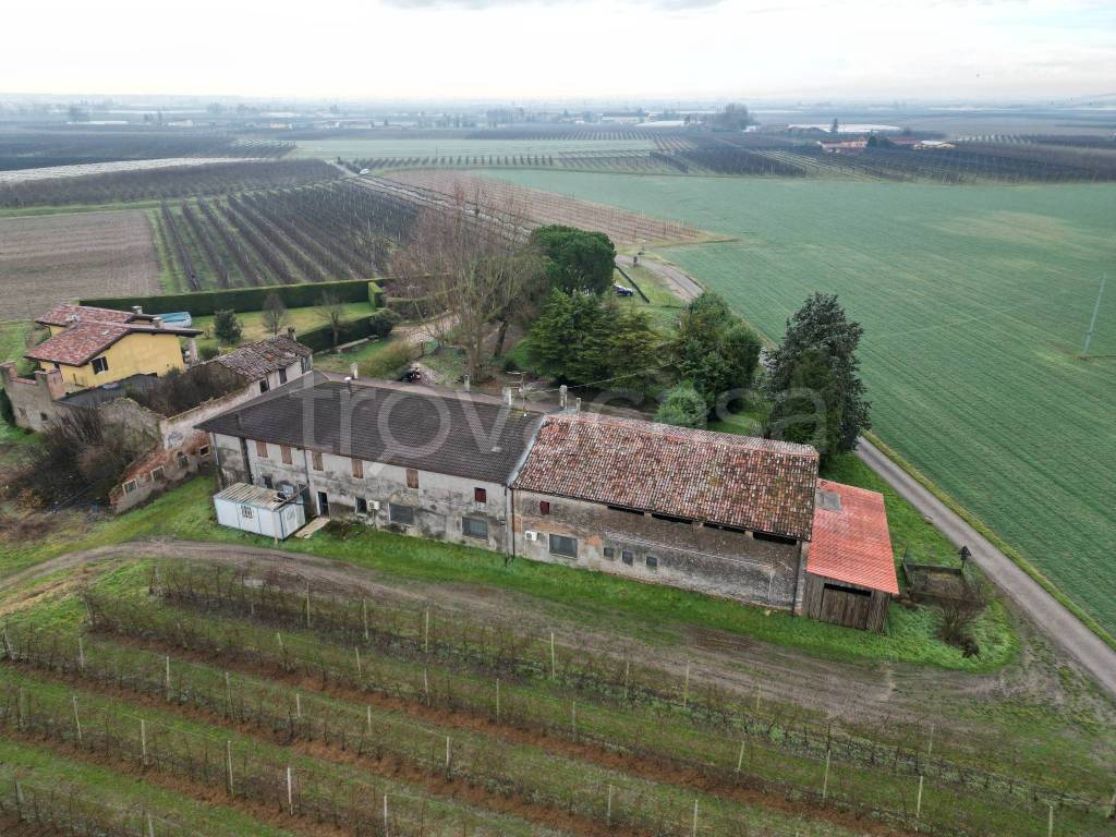 immagine annuncio 3 di 14