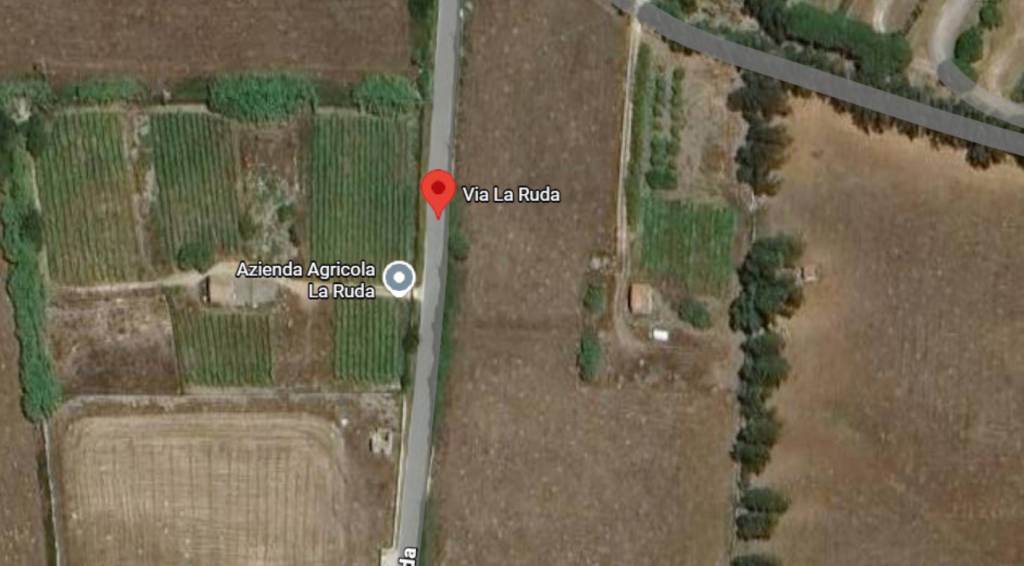 immagine annuncio 6 di 12