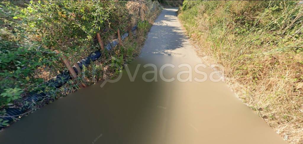 immagine annuncio 11 di 13