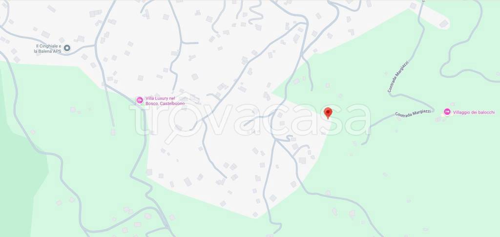 immagine annuncio 12 di 13