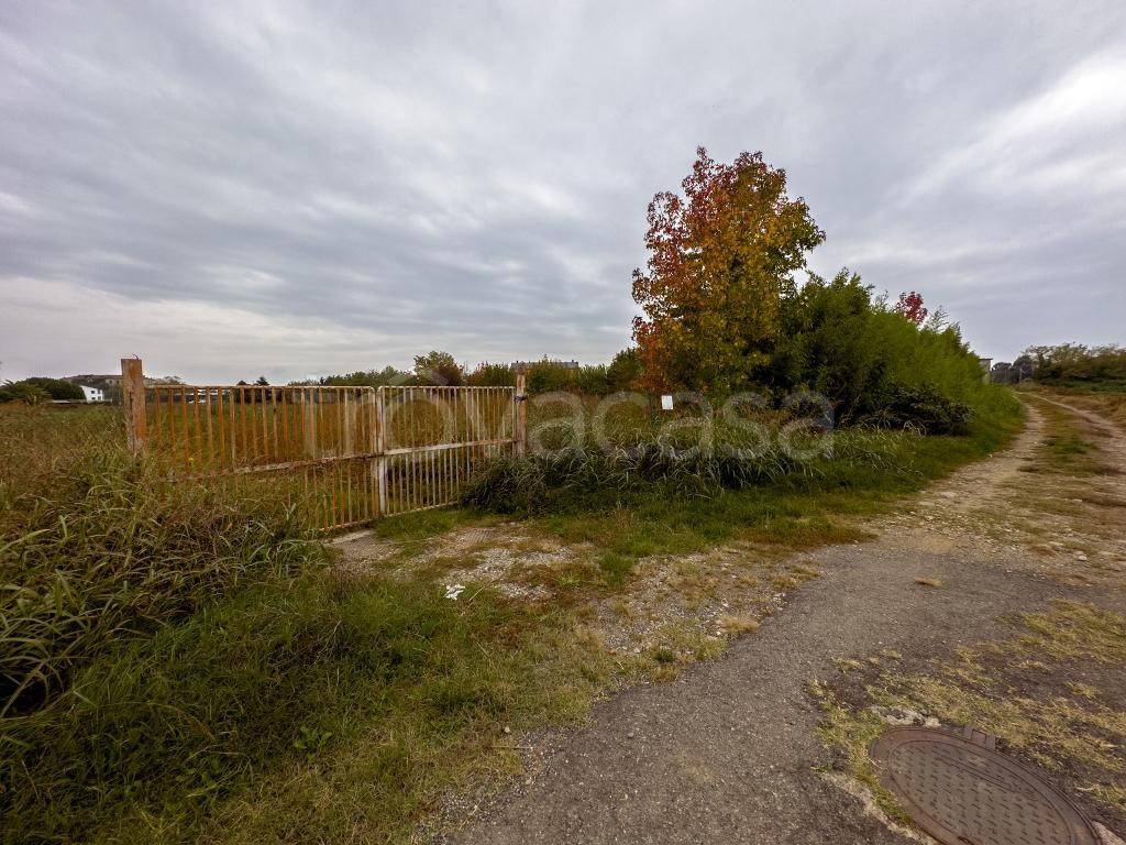 immagine annuncio 1 di 8