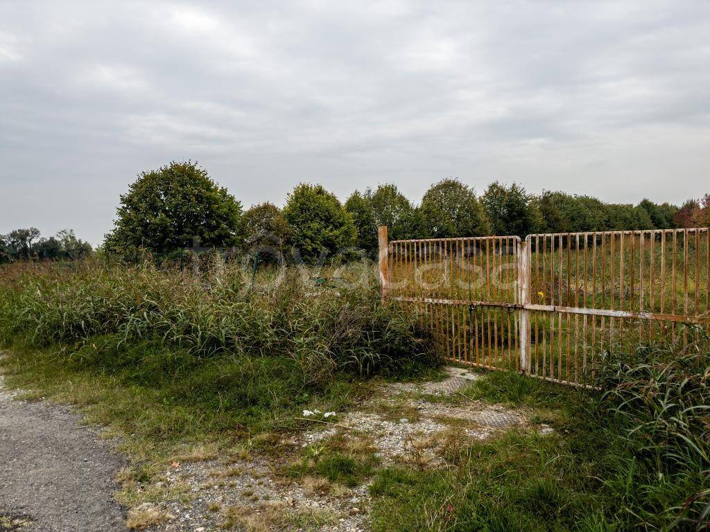 immagine annuncio 2 di 8