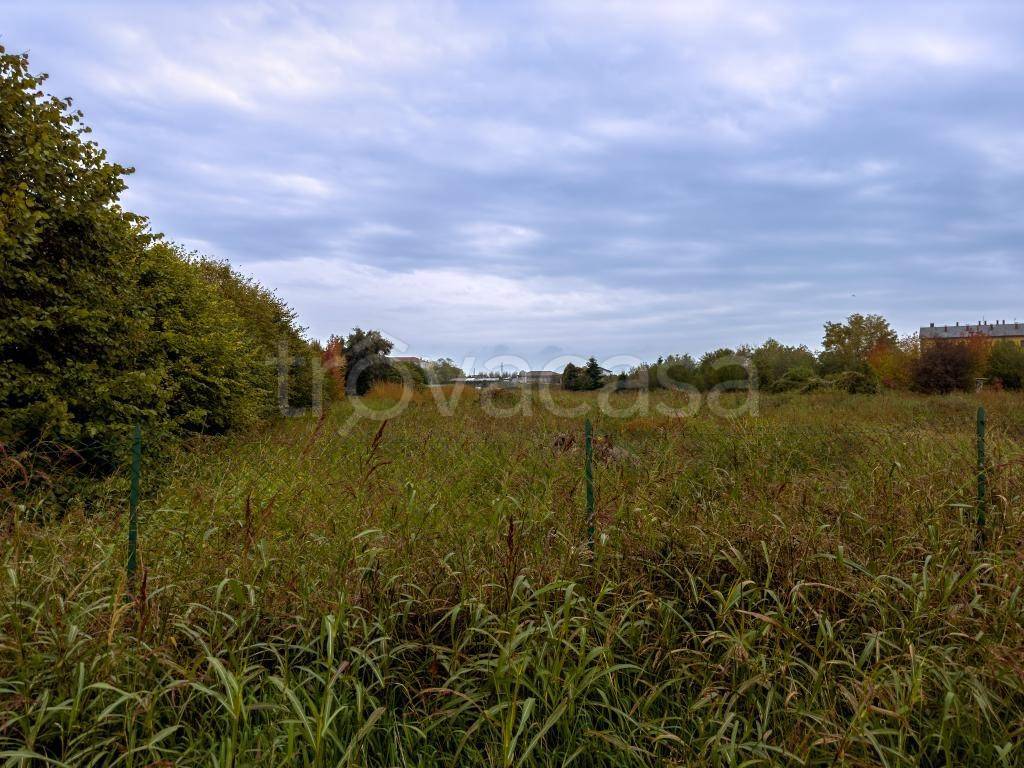 immagine annuncio 3 di 8