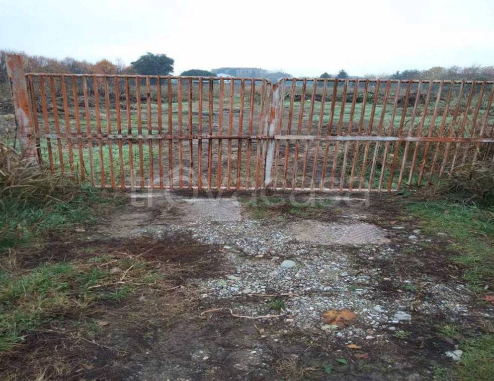 immagine annuncio 4 di 8