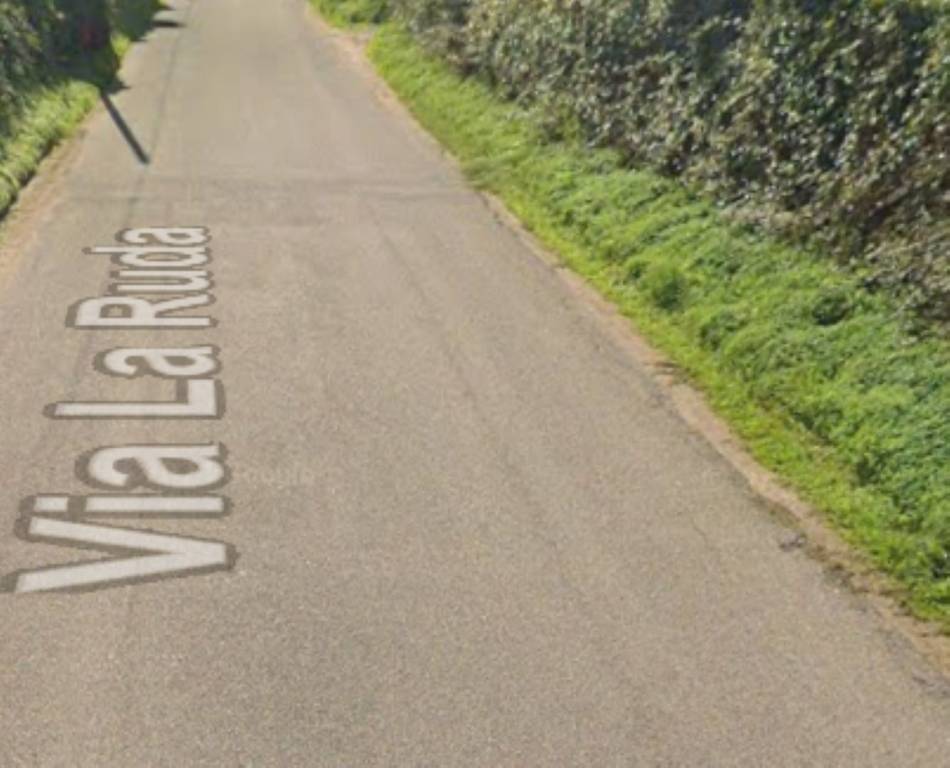 immagine annuncio 11 di 12