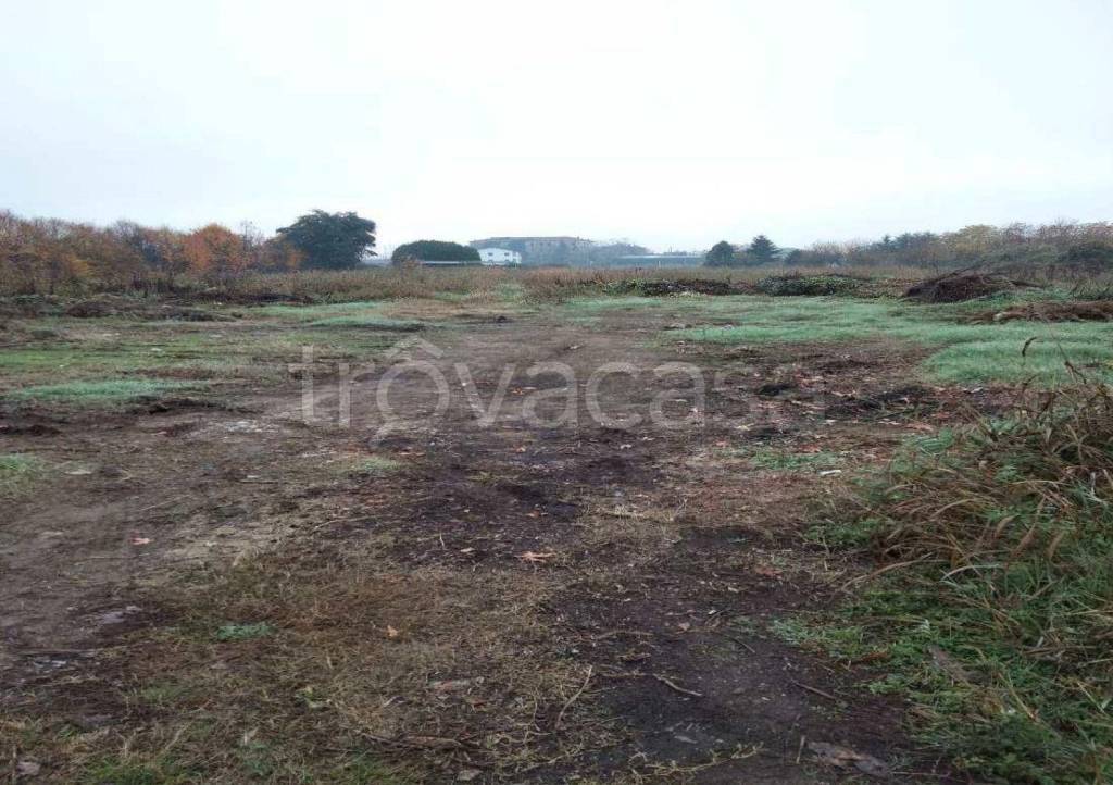 immagine annuncio 7 di 8