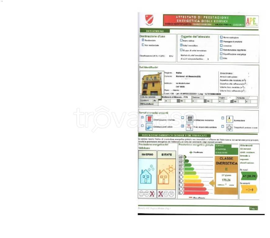 immagine annuncio 14 di 15