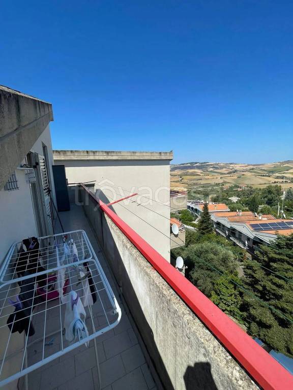 immagine annuncio 11 di 14