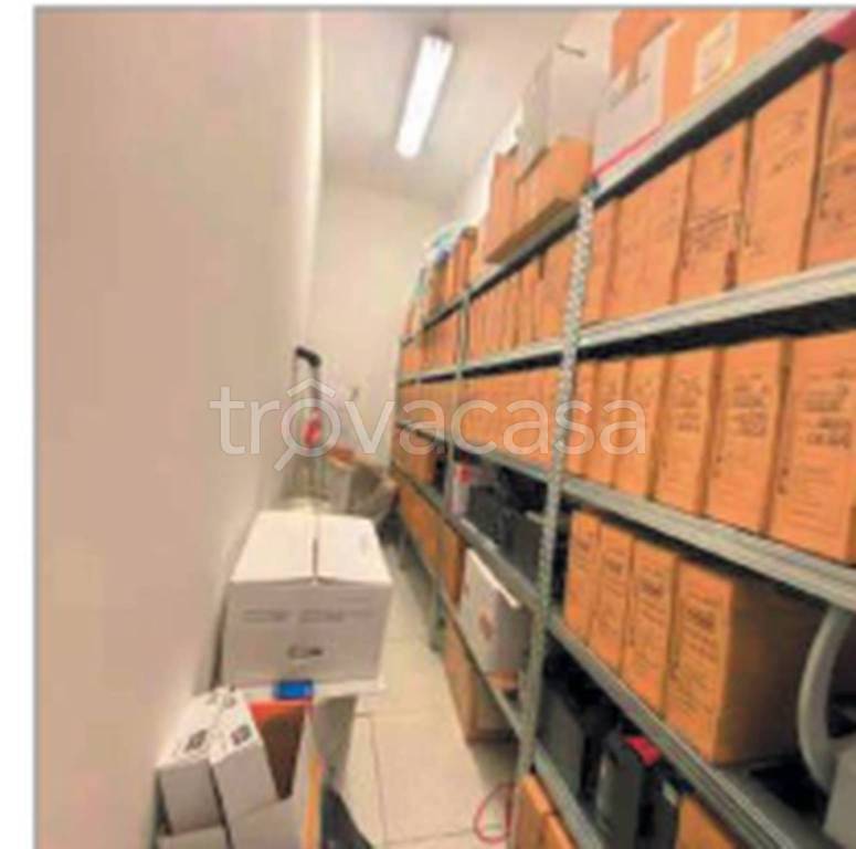 immagine annuncio 7 di 11