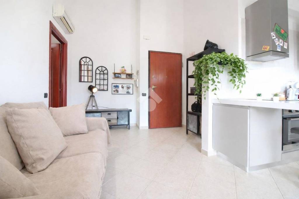 immagine annuncio 4 di 14