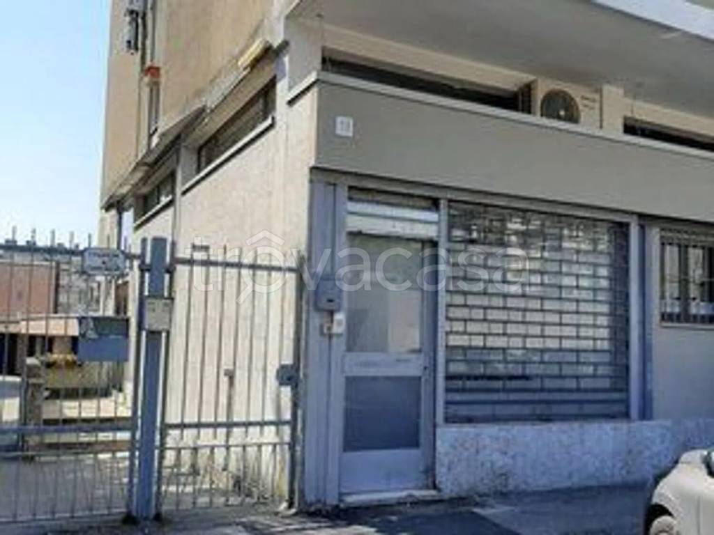 immagine annuncio 3 di 12