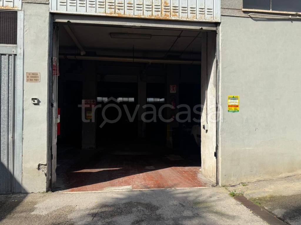 immagine annuncio 2 di 7