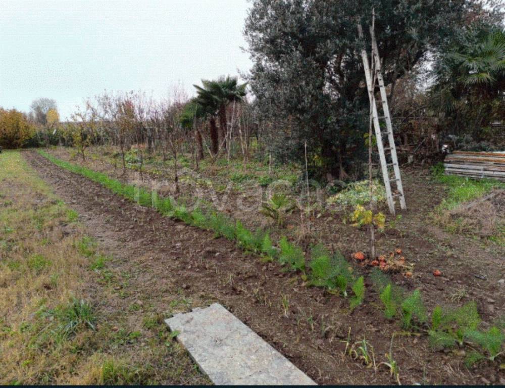 immagine annuncio 5 di 9