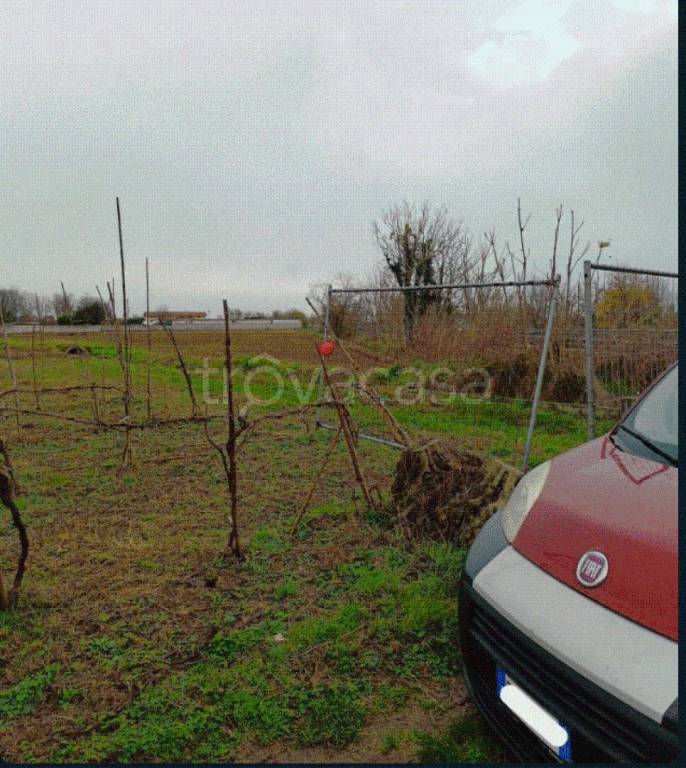 immagine annuncio 7 di 9