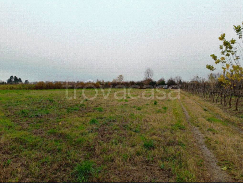 immagine annuncio 8 di 9