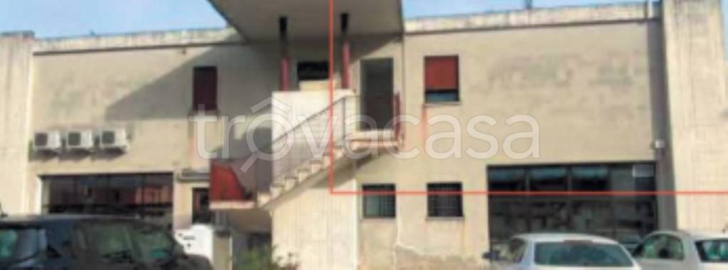 immagine annuncio 6 di 13