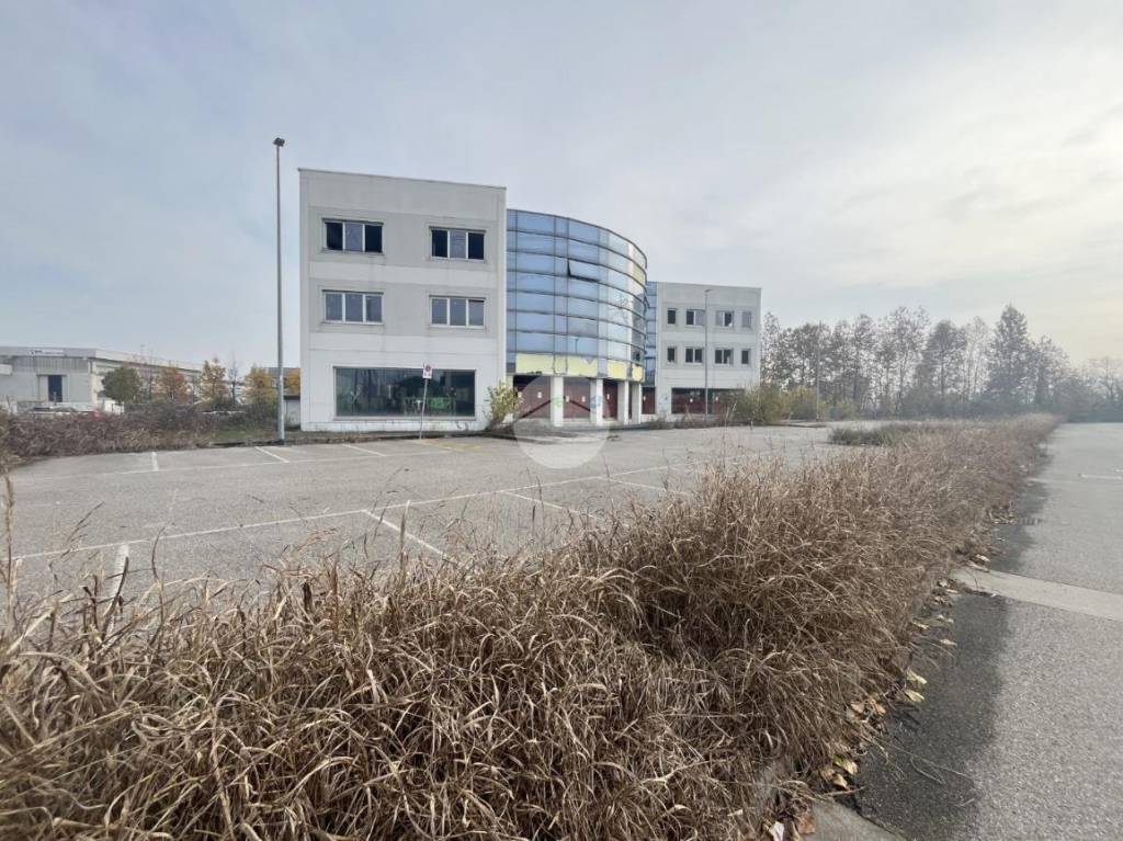 immagine annuncio 3 di 10