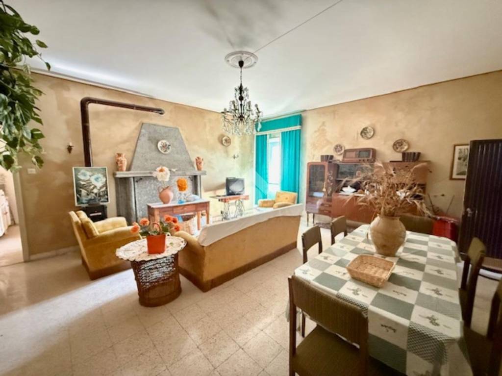 immagine annuncio 1 di 14