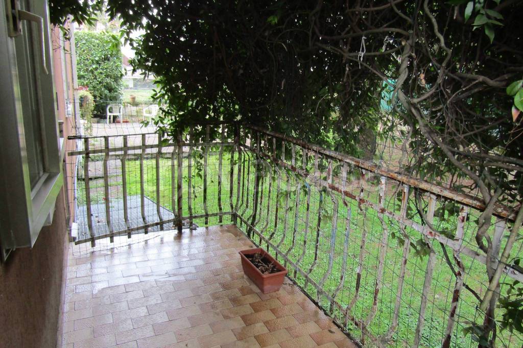 immagine annuncio 9 di 12