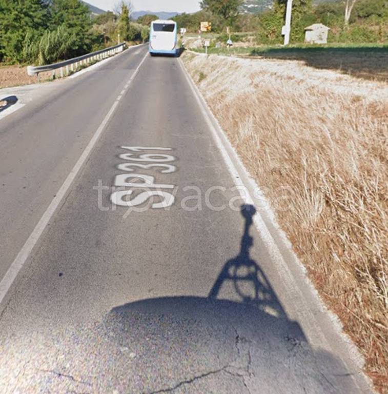 immagine annuncio 11 di 12