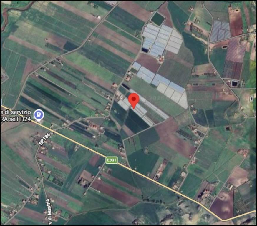 immagine annuncio 11 di 12