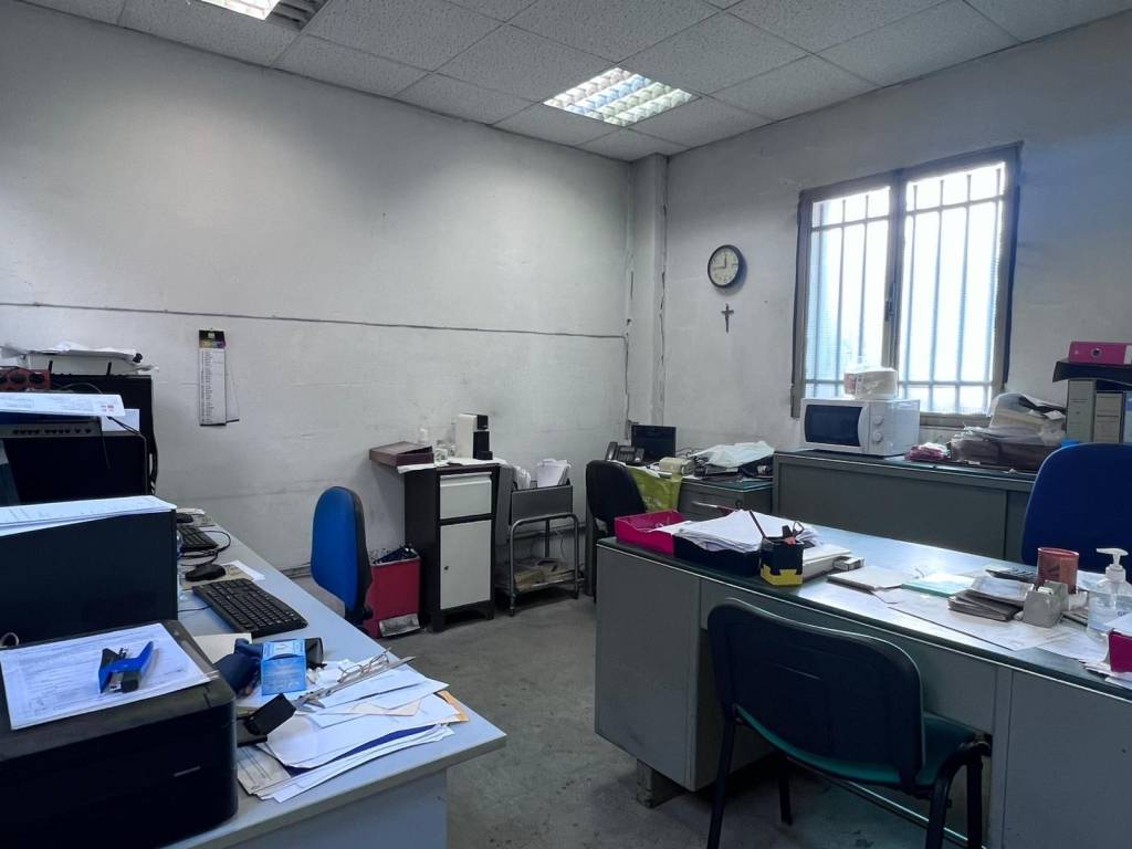 immagine annuncio 2 di 12