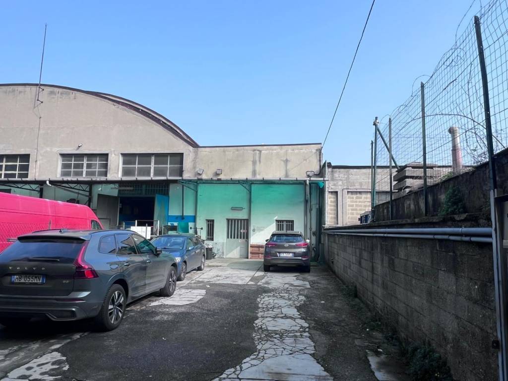 immagine annuncio 1 di 12