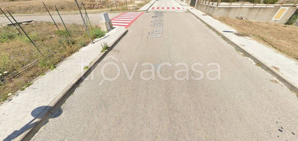 immagine annuncio 2 di 14