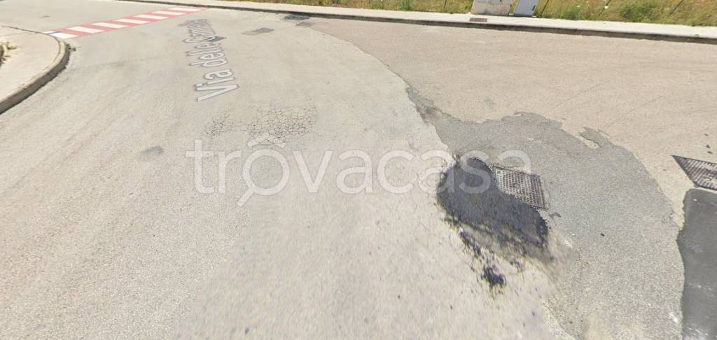 immagine annuncio 9 di 14