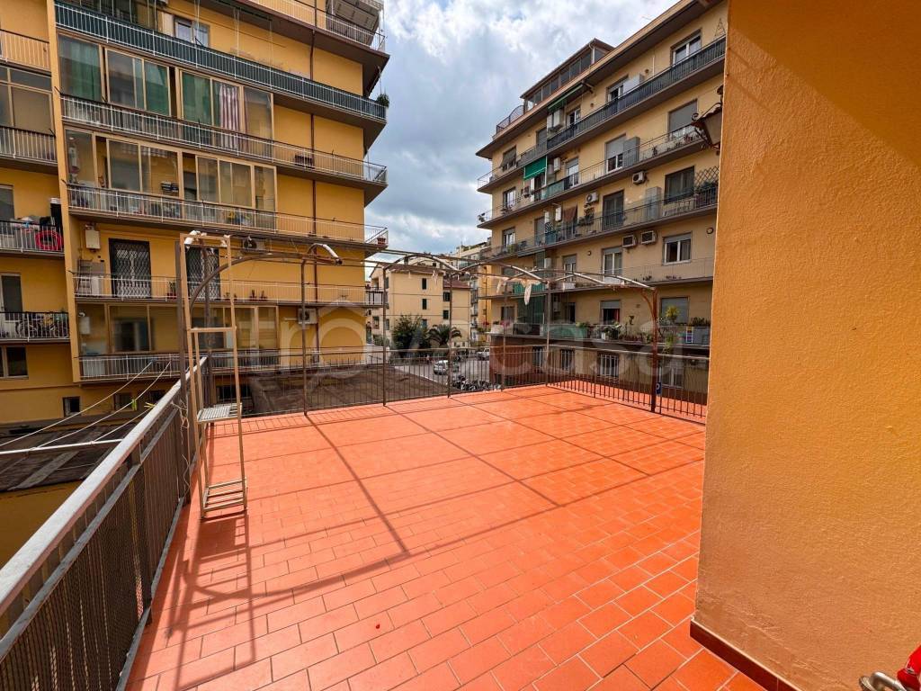 immagine annuncio 12 di 14