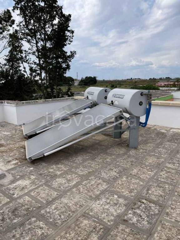 immagine annuncio 11 di 14