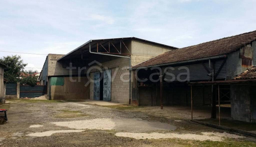 immagine annuncio 3 di 11