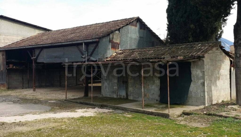 immagine annuncio 4 di 11